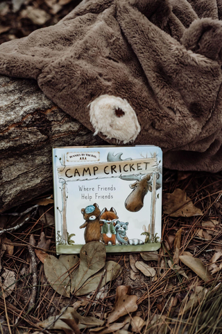 Camp Cricket Board Book